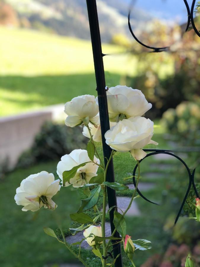Sunshine * Bruck am Ziller